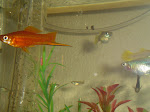 dsc00493.jpg