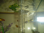 dsc00500.jpg