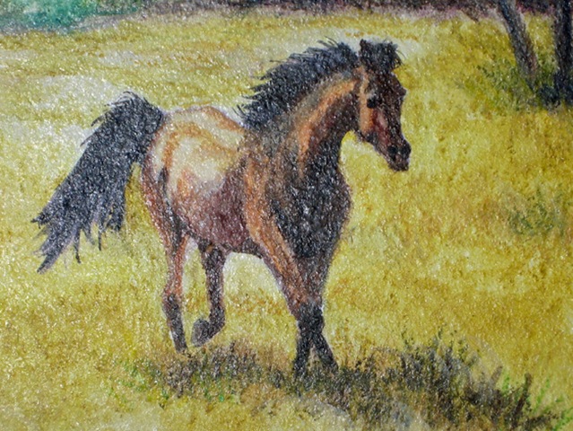[finished horse close up board texture[2].jpg]