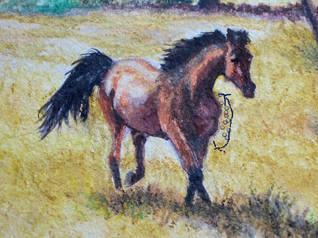 [Close up on horse w chest error[2].jpg]