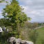 P1010568.JPG