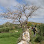 P1010571.JPG
