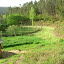 DSCN5694.JPG