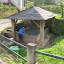 DSCN5697.JPG