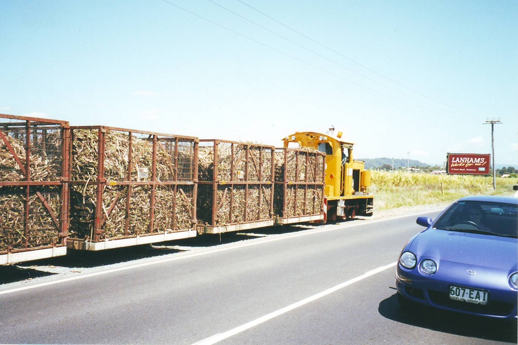 [b28 Sugar cane train[2].jpg]