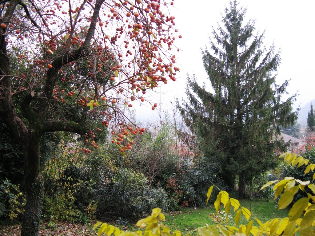 [Immagine0512.jpg]