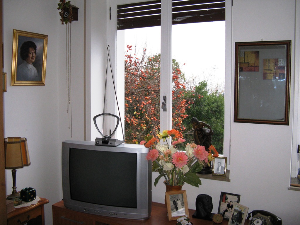 [Immagine0532.jpg]