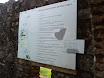 P1050783.JPG