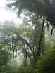 P1050975.JPG