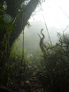 P1050978.JPG