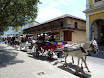 P1050883.JPG