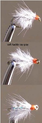 Soft Hackle ray