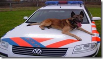 Brabantse politiehonden kloppen Limburgse inbrekers