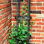 greyslate's Brick Bunker garden