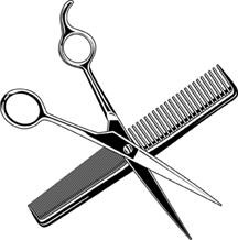 [scissors-comb_full[6].jpg]