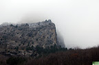 DSC_6540.JPG