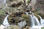 DSC_6558.JPG