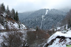 DSC_6749.JPG
