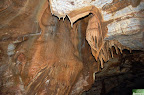 DSC_7103.JPG