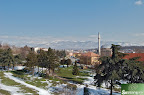 DSC_7326.JPG