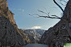 DSC_7455.JPG