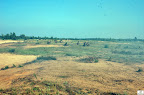 DSC_6505.JPG