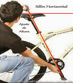Talla ideal (Foto2) Talla ideal (Foto2)