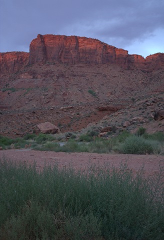[_MG_2930_cr[5].jpg]