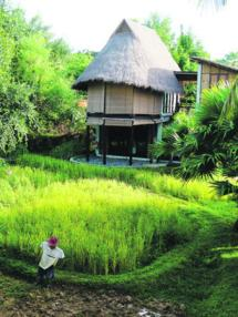 [Thailand6-Village[3].png]