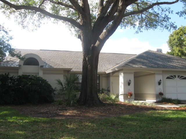 [No Pressure Cleaning Roof Tampa 33602 11-17-2009 3-13-18 AM[2].jpg]