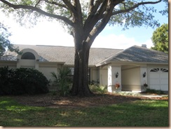 No Pressure Cleaning Roof Tampa 33602 11-17-2009 3-13-18 AM