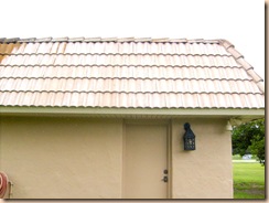 roof cleaning 030