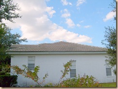 Tampa Non Pressure Roof Cleaning 025