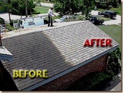 roof_cleaning_picture