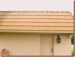 roof cleaning 031