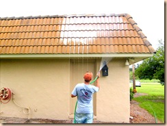 roof cleaning 029