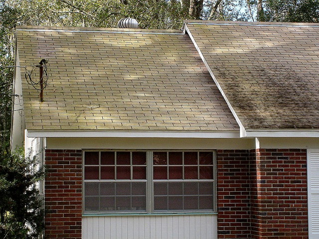 [Tampa Roof Cleaning 002[2].jpg]