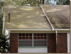 Tampa Roof Cleaning 002