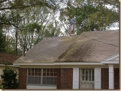 Tampa Roof Cleaning 003