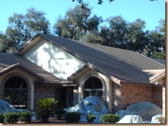 roof cleaning 008