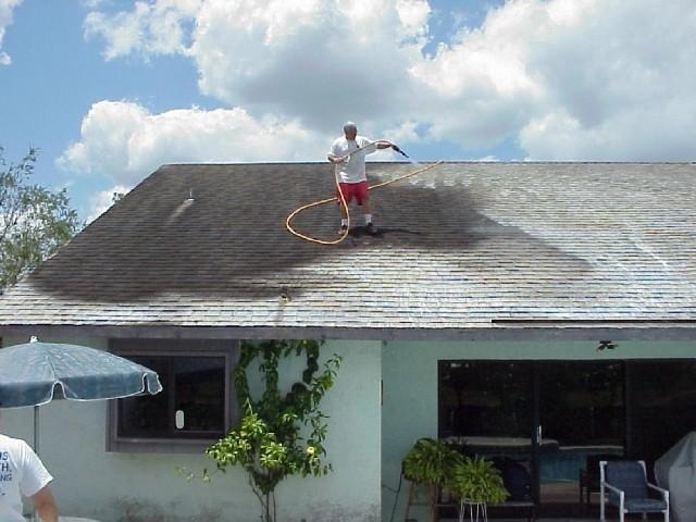 [roof_cleaning_tampa[2].jpg]
