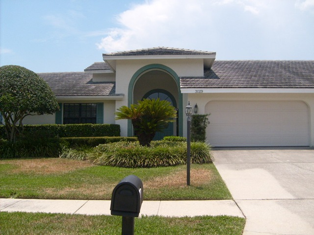 [Copy (2) of Tampa Roof Cleaning 053[2].jpg]
