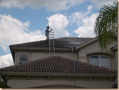 Copy of Tampa Roof Cleaning 034