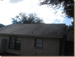 Tile-Roof-Cleaning-33601-Tampa-FL 11-17-2009 3-55-54 AM