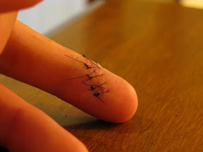 Day Two.  The bottom of my finger.  The cut goes fully halfway into my finger, and given that it's a flat edged blade, the cut itself is halfway into my finger.  Ouch.