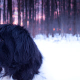 walter-sunrise-4.jpg
