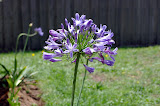 IMGP4144.JPG