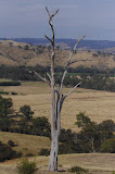 IMGP4772.JPG