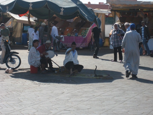 [MoroccoandFrance3192.jpg]