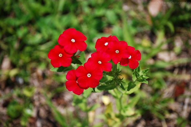 [DSC_12854.jpg]